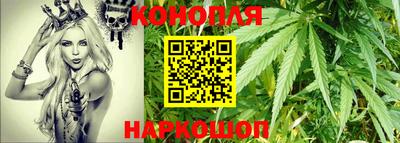 шишки Пугачёв