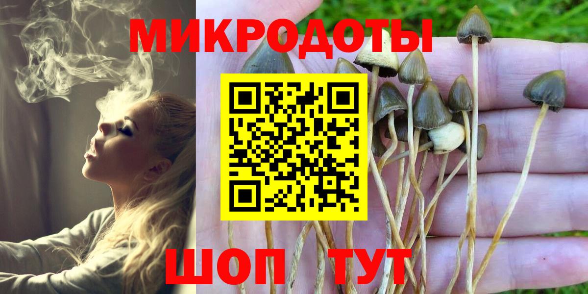 Псилоцибиновые грибы Magic Shrooms Ржев