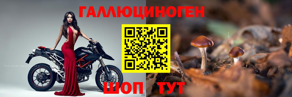 Ржев  Галлюциногенные грибы Psilocybine cubensis  Вход с VPN  дарнет шоп  Галлюциногенные грибы Psilocybe 
